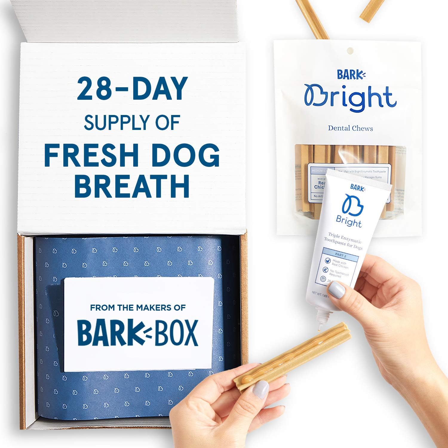 best snails for tropical tank