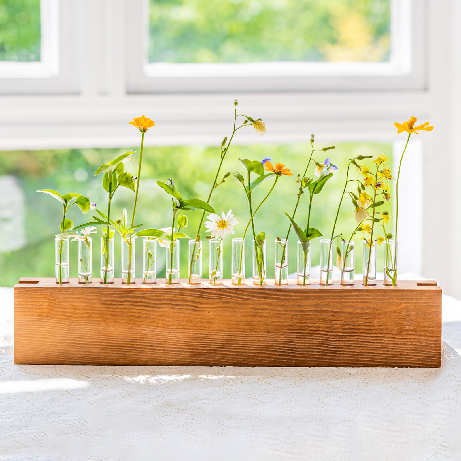 Photo 1 of Plant Propagation Station with Wooden Stand, Plant Terrarium Kit with 18 Glass Test Tubes, Unique Gifts for Women Plant Lovers, Hydroponic Retro Tabletop Garden Office Plants Cutting Home Decor Vase