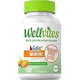 Wellvites Sugar Free Kids Immune Daily Gummy Vitamins - Vegan, Non-GMO - Vitamin C Gummies for Kids Immune Support, No Artificial Sweeteners, Gluten-Free, Gelatin-Free, 60 Count (30 Day Supply)