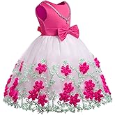 NSSMWTTC 2-9T Flower Girls Wedding Embroidery Dresses Toddler Christmas Easter Pgeant Dress with Necklace