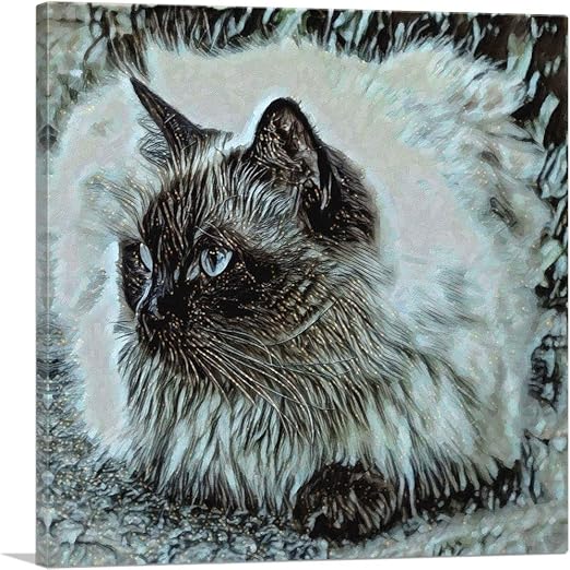 himalayan forest cat
