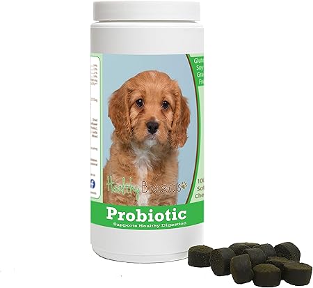 amazon dr marty dog food