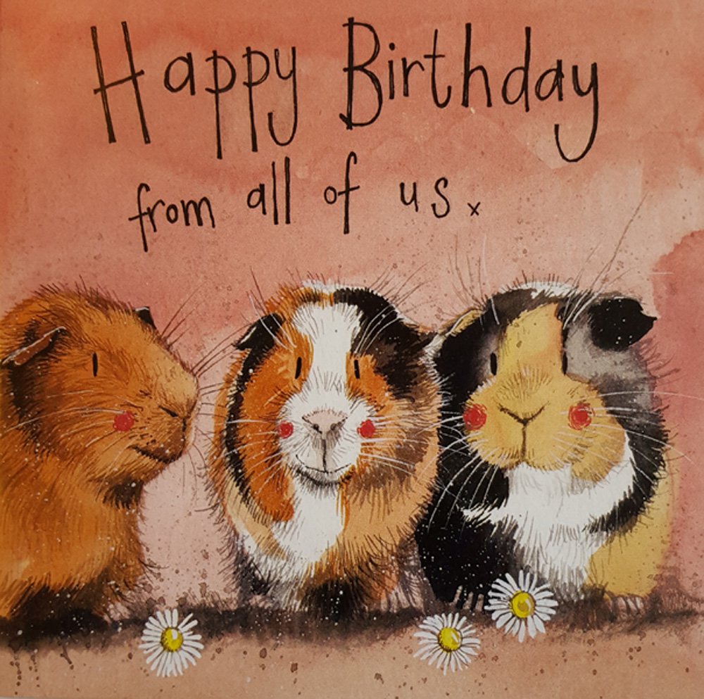 Alex Clark Three Guinea Pigs Birthday Card