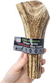 Floppy Ear Deer Antler Chew Extra Large 240-300g Dog Treat view 2