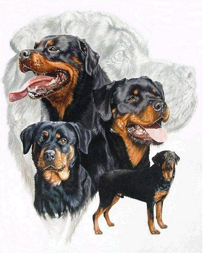 DIY 5D Diamond Painting Kits for Adults Rottweiler Full Drill