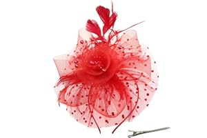 QIYIFAN Women's Feather Mesh Flower Fascinator with Headband and Clip Wedding Tea Party Kentucky Derby Fascinator Hats