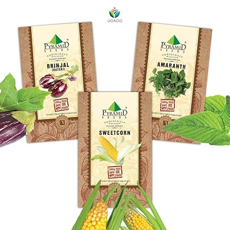 Pyramid Seeds Vegetable Seeds Combo Of Sweetcorn, Amaranth (Chawli Bhaji), Brinjal ateri