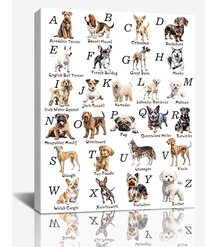 Amazon.com: Pugwak ABC Alphabet Dog Wall Art Canvas Prints