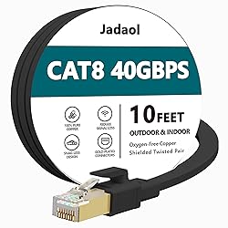 Cat8 Ethernet Cable, Outdoor&Indoor, 10 FT Heavy