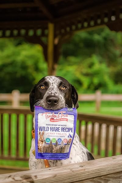 TENDER & TRUE WILD HARE JERKY TREAT, 4 OZ BAG