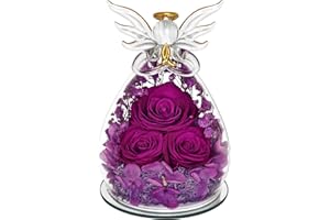 Preserved Rose Gifts for Women Birthday, Forever Flower in Glass Angel Figurines Fresh Flowers for Delivery for Mom Real Colo