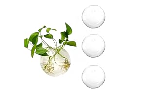 Guoguiming 4 Pcs Wall Hanging Planters Terrarium, Glass Oblate Globe Plants Containers, Wall Mount Clear Flower Vase for Prop