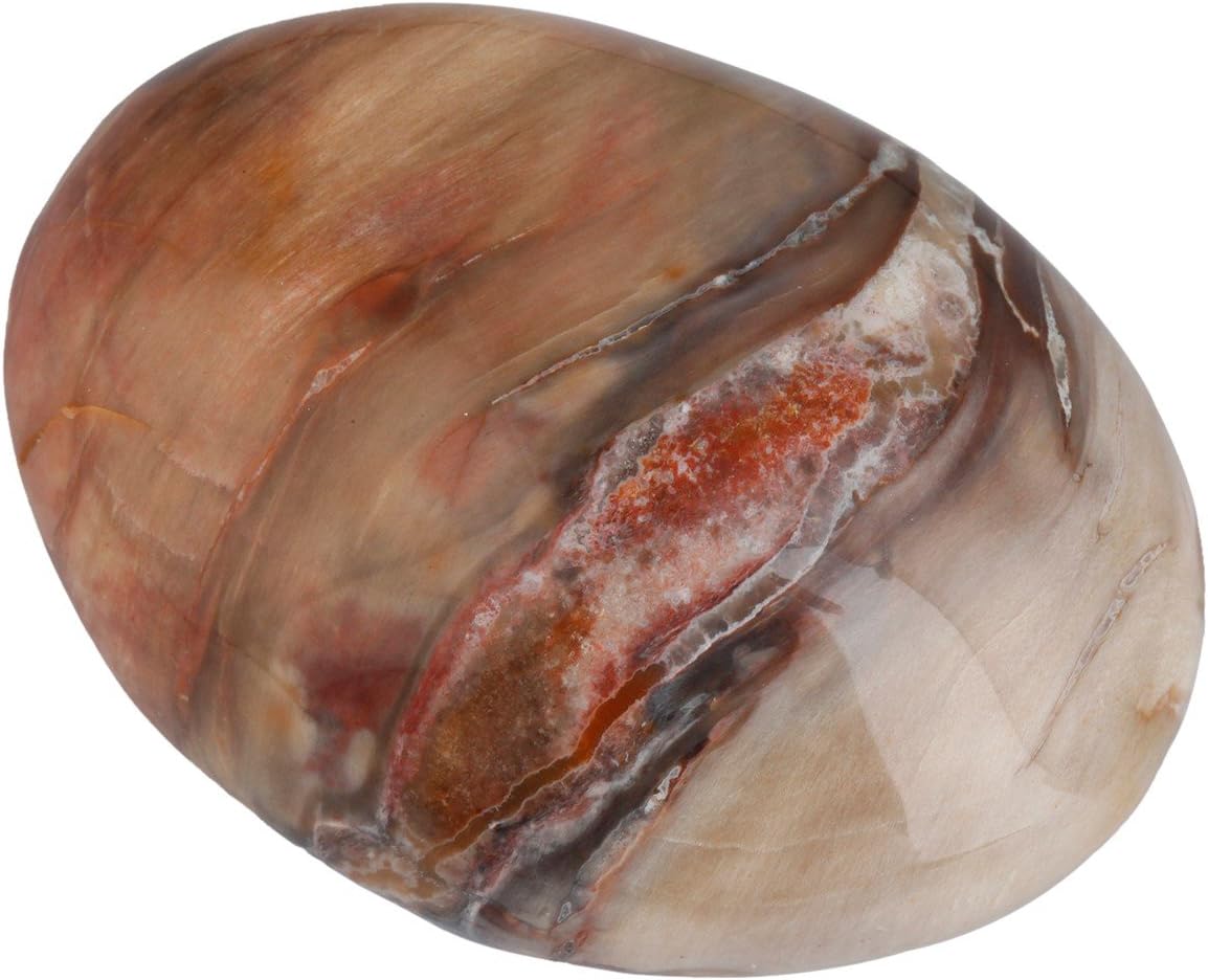 Indoor Fountains & Accessories - Rockcloud Irregular Polished Petrified Wood Palm Stones Worry Stones Pebble Healing Crystal with Velvet Bag