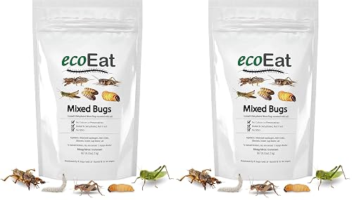 ecoEat Mixed Edible Insects - Edible Bugs Edible Dehydrated not Fried ...