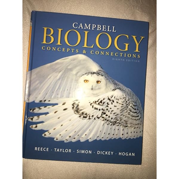 Hand-Atlas of Human Anatomy One-Volume Edition: Spalteholz, Werner