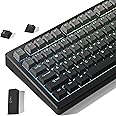 Womier Shine Through PBT Keycaps 60 75 100 Percent Cherry Profile, Custom Key Cap Doubleshot Keycaps Set, Universal Compatiability for Cherry Gateron MX Switches Keyboard, Gradient Gray