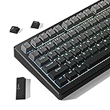 Womier Shine Through PBT Keycaps 60 75 100 Percent