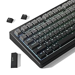 Womier Shine Through PBT Keycaps 60 75 100 Percent