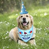 SUOXU Dog Birthday Bandana Hat Set Cotton Triangle Scarf Small Medium Dogs view 7