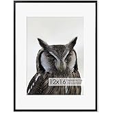 12x16 Metal Picture Frame - Aluminum Picture Frame with Shatter-Resistant Glass - Displays 9x12 Photos with Mat or 12x16 Images without Mat - Ideal for Home or Office Decor Set of 1 - Black