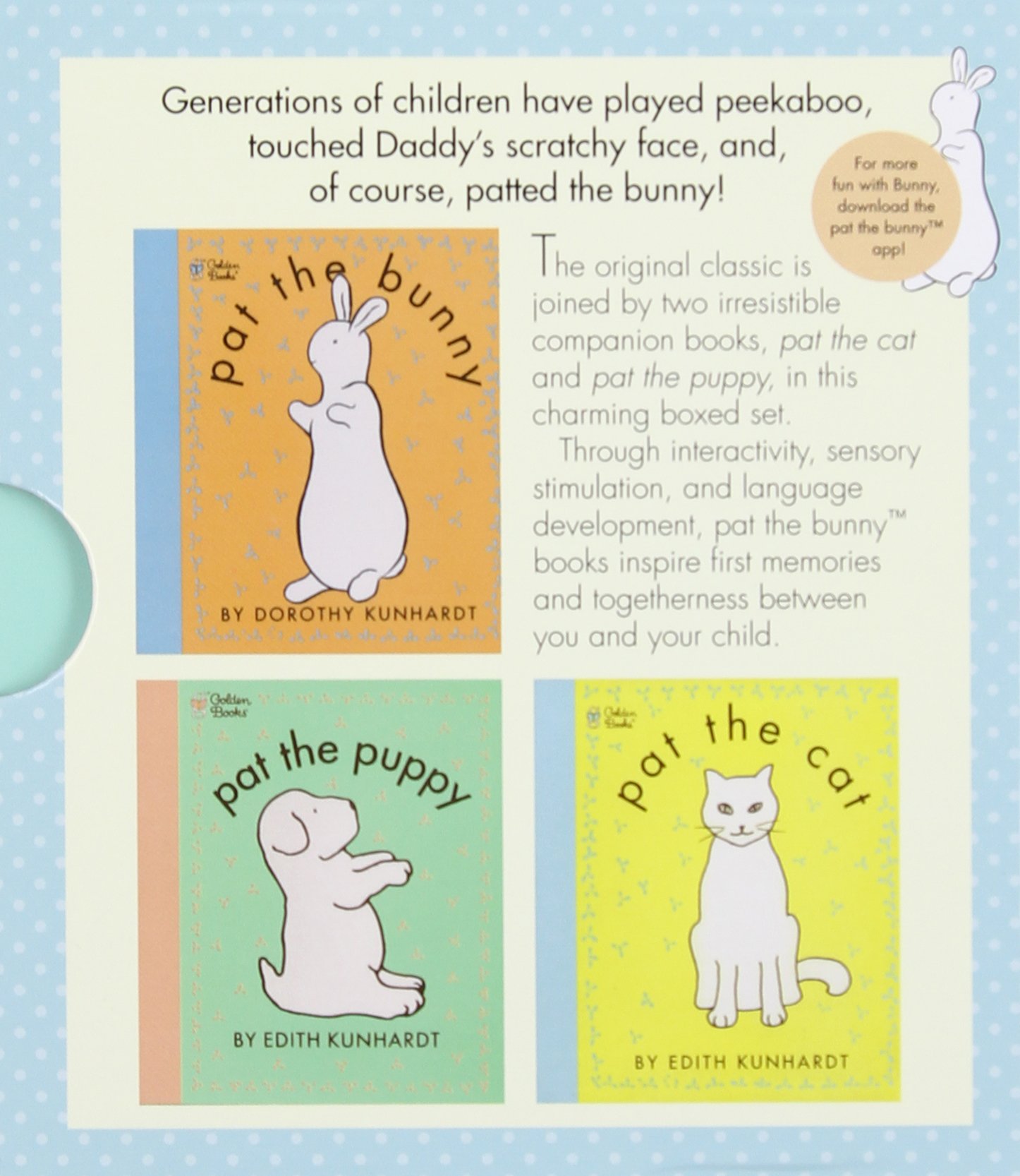 pat the bunny board book