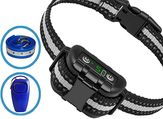 best dog bark control