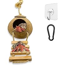 Hermit Crab Food Gecko Coconut Husk Hut, Bird Hut Nesting House Hideouts With Ladder, Coco Texture Provide Food, Durable Cave Habitat With Hanging Loop For Leopard Gecko, Reptiles, Amphibians And Small Animals