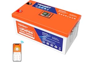 TEMGOT 12V 300AH Low Temp Cutoff LiFePO4 Lithium Battery with Touchable Smart Display & APP Monitoring, Built-in 200A BMS,2560W Load Power, 5000+ Cycles, Perfect for RV/Camper, Solar, and Off-Grid