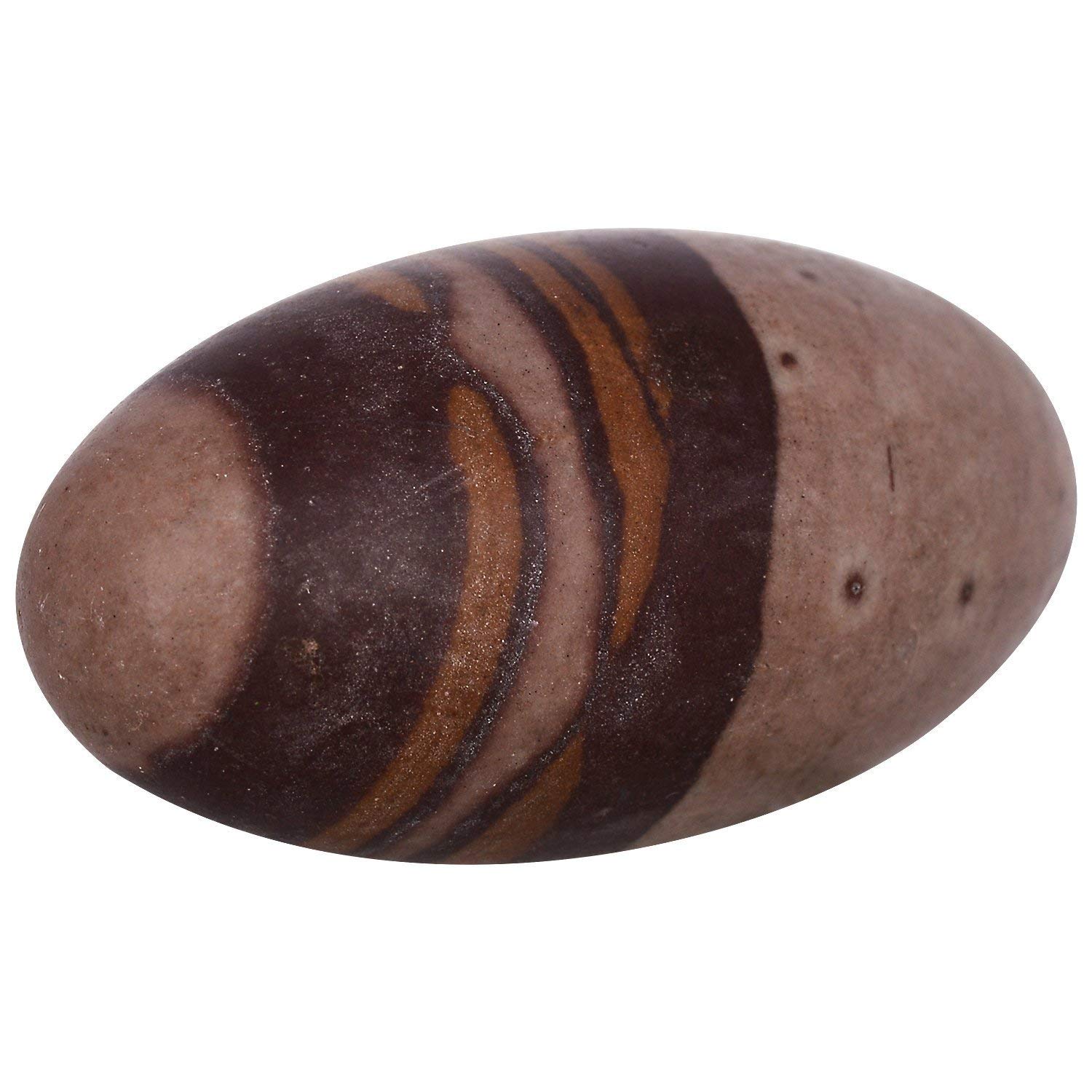 KLEO Narmada Stone Narmadeshwar Shiv ling | Shiva Lingam | Indian God Idols & Statues (6" Inches)