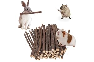 Petawi 700g Apple Sticks Molar Wood Treats, Rabbit Toys Chinchilla Guinea Pig Bunny Toys Wood Chews Sticks for Teeth Rabbit Food Guinea Pig Hamster Gerbil Chews Small Animals Snacks(200 Pcs)