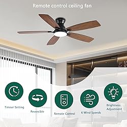 NKPU 52inch Ceiling Fans with Lights, Low Profile