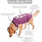 BellyGuard Dog Surgery Recovery Suit Post-Op Bodysuit for Dogs view 5