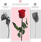 Yamonic Preserved Real Red Rose Gift for Women, Eternal Flower view 6