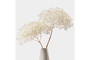 KOCEKO 2 PCS Large Flower Heads Dried White Hydrangea Flowers (Length 14" Corolla Size 5''-6'') -Real Hydrangeas Petals for Wedding Vase Home Office Babyshower Party Boho Decor Crafts