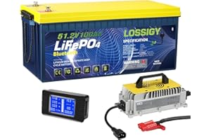 LOSSIGY 48V 100Ah Lithium Golf Cart Battery, Bluetooth LiFePO4 Battery with 58.4V18A Smart Battery Charger,Perfect for Golf Carts,Trolling Motors, Marine，200A BMS, Peak Current 1000A