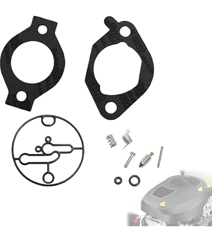 496114 Carburatore Carburatore per Motore Briggs Stratton