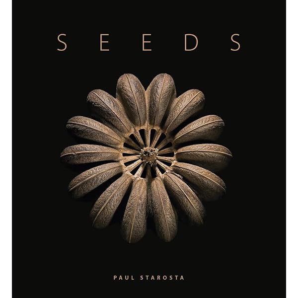 Shells: Starosta, Paul, Senders, Jacques, Starosta, Paul