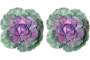 Hoppwodd 2PCS Faux Cabbage Fall Winter Outdoors, Artificial Vegetables Realistic UV Resistant, Fake Ornamental Plants Props Decorative Display for Home Kitchen Wedding Porch Patio Yard Decor,Green