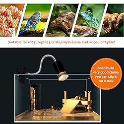 Buddypuppy Reptile Heat Lamp, UVA UVB Reptile Light