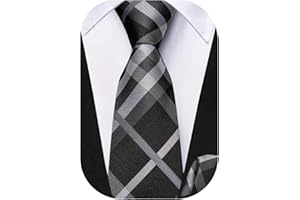 Dubulle Zipper Tie Set for Boys Stripe Checks Pretied Adjustable Kids Necktie and Pocket Square Set for Age 8-11