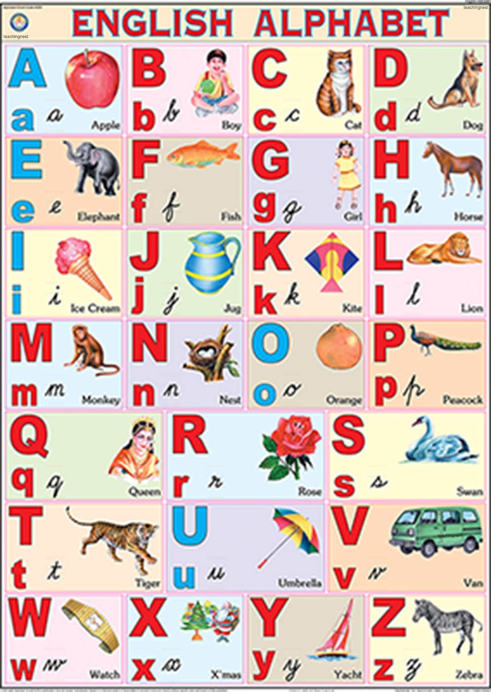 Amazon In Buy English Alphabet Chart 70x100cm Book Online At Low Prices In India English Alphabet Chart 70x100cm Reviews Ratings
