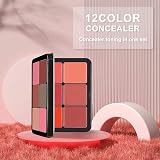 BSMKCL 12 Color Blush Palette Matte Finish Cruelty-Free Face Makeup Highlighter view 7