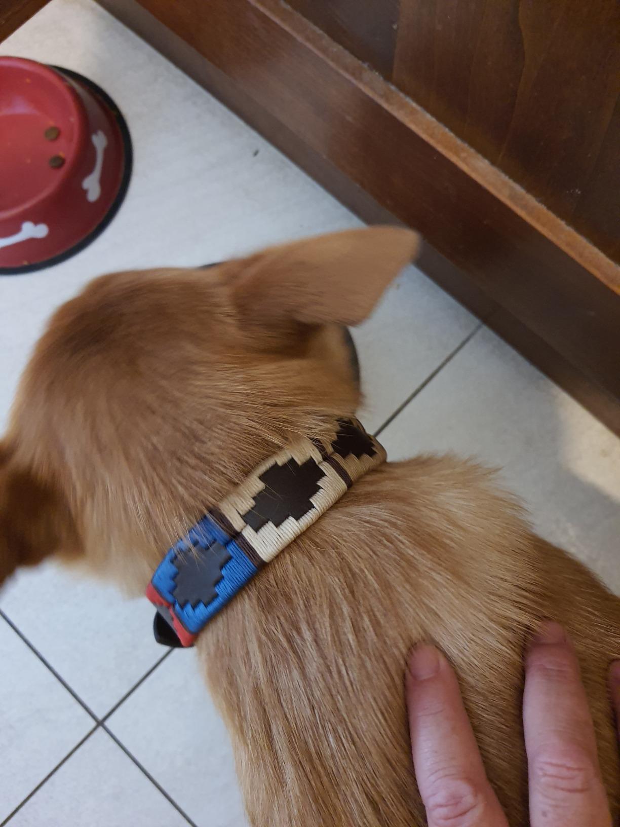 Customer photo
