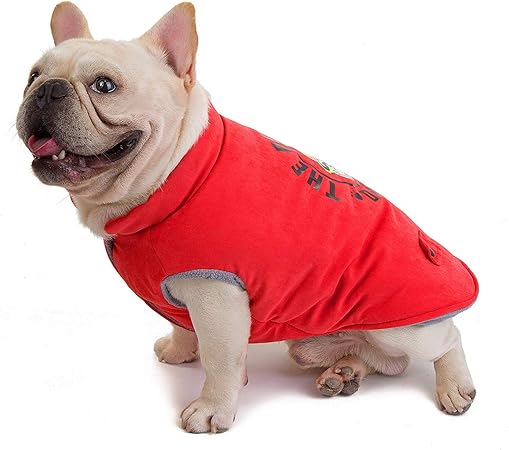 french bulldog clothes amazon