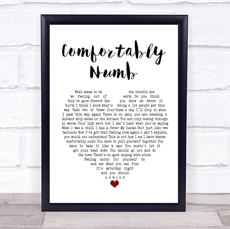 Fingerprint Designs Pink Floyd Comfortably Numb White Heart Song
