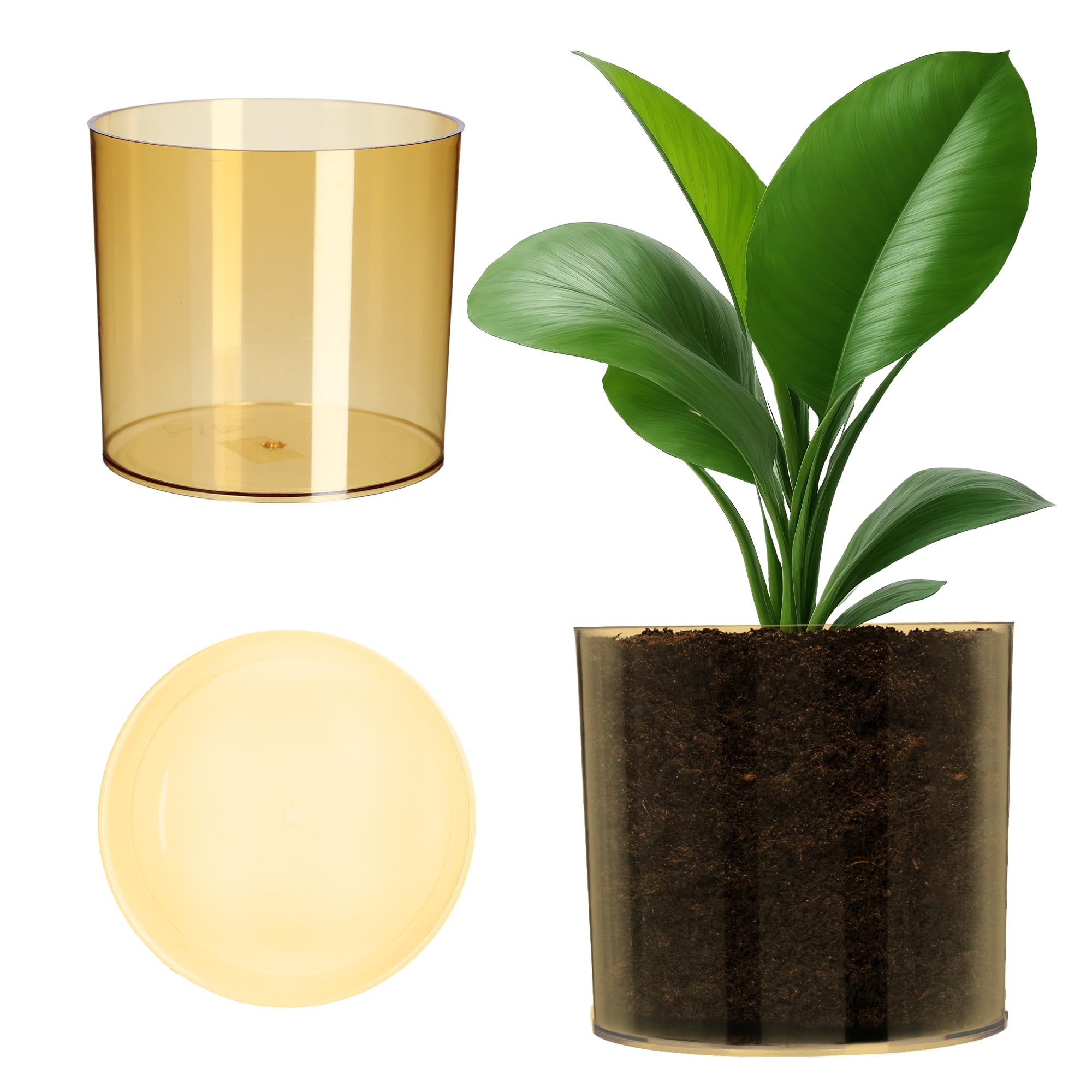 KADAX Plastic Flower Pot, 13 Colours, Shiny Cylindrical Pot, Herb Pot, Flower Vase, Planter, Plant Pot (Diameter 12.8 cm, Honey)