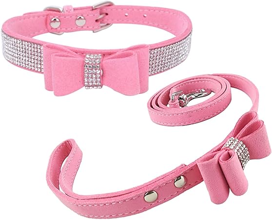leather puppy collar and lead