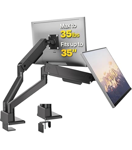 Amazon.com: Stellar Mounts Dual Spring LCD Monitor Arms with USB