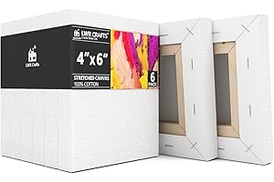 LWR CRAFTS Stretched Canvas 4" X 6" Pack of 6