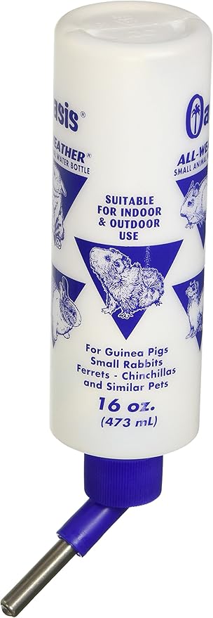 guinea pig drinking bottle